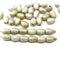 7x5mm White teardrop golden wash czech glass pear beads, 40pc - 3994