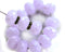 6x9mm Lilac coated Czech glass fire polished beads, 12pc
