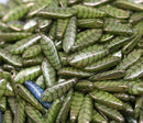 5x16mm Olive green leaf ornament dagger czech glass beads - 10pc