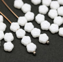 6mm Opaque white daisy flower czech glass beads, 40pc