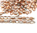 4x3mm Clear czech glass rice oval beads, copper coating - about 150pc