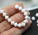 6mm White fancy Czech glass bicone beads, AB finish, 50pc
