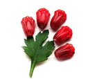 12x8mm Red mixed tulip flower Czech glass beads, 20Pc