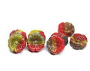 14mm Red yellow pansy flower, Czech glass flat daisy pressed beads - 8Pc