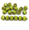 6mm Wasabi green cathedral Czech glass beads golden ends 20Pc
