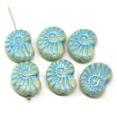 13x17mm Blue ammonite Czech glass beads, nautilus, 6pc