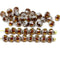 4mm Brown topaz glass cathedral czech glass beads, silver ends 40Pc