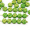 6mm Green gold wash daisy flower czech glass beads, 30pc