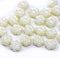 6mm Ivory cream daisy flower czech glass beads, 30pc