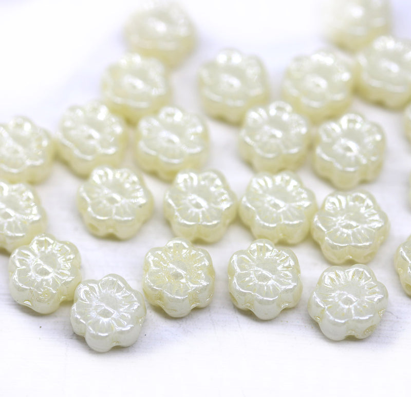 6mm Ivory cream daisy flower czech glass beads, 30pc