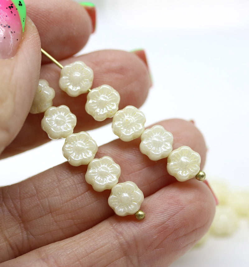 6mm Ivory cream daisy flower czech glass beads, 30pc