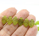 12x7mm Frosted green Czech glass Leaf beads 30Pc