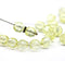 8mm Light yellow Czech glass round fire polished beads - 20Pc