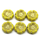 14mm Opaque yellow pansy flower, Czech glass flat daisy, gold wash 6Pc