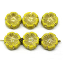 14mm Opaque yellow pansy flower, Czech glass flat daisy, gold wash 6Pc