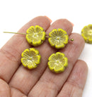 14mm Opaque yellow pansy flower, Czech glass flat daisy, gold wash 6Pc