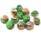 8x10mm Green saucer czech glass beads, UFO shape 12pc