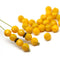 6mm Yellow round melon shape czech glass beads - 30Pc