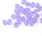 5x7mm Frosted lilac purple teardrops czech glass beads, 30pc