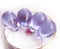 10x14mm Lilac czech glass teardrop beads large briolette drop 6pc