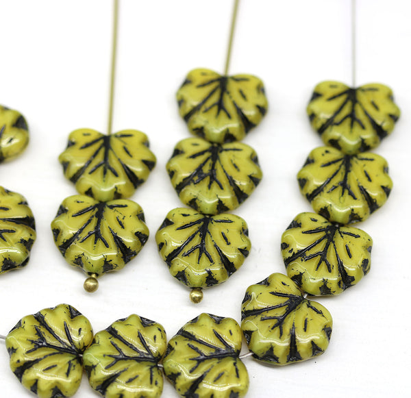 11x13mm Yellow black maple czech glass leaf beads, 15pc