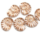 13x17mm Clear ammonite Czech glass beads, nautilus, copper wash, 6pc