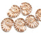 13x17mm Clear ammonite Czech glass beads, nautilus, copper wash, 8pc