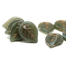 18x13mm Dark gray large leaves, copper wash Czech glass beads, 8Pc