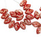 12x7mm Red leaf mixed color Czech glass beads gold wash, 30pc