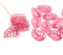 14x9mm Bright pink Czech glass leaves, 15pc