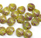 9mm Yellow czech  glass shell beads, center drilled, purple wash, 20pc