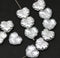 11x13mm Crystal clear maple leaf beads, silver luster Czech glass - 15pc