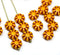 9mm Sunflower yellow flower czech glass flat daisy beads, pink inlays, 20Pc