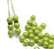 6mm Olive green round druk czech glass beads with luster, 30Pc