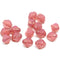 8x6mm Opal pink bicone czech glass beads gold edges - 15Pc