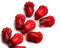 12x8mm Red mixed tulip flower Czech glass beads, 20Pc