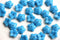 7mm Dark blue flower bead caps Czech glass small floral beads 40Pc