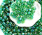 11/0 Toho Seed beads Transparent Rainbow Grass Green 167B - 10g