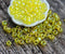 8/0 Toho seed beads, Transparent Rainbow Lemon N 175, yellow - 10g