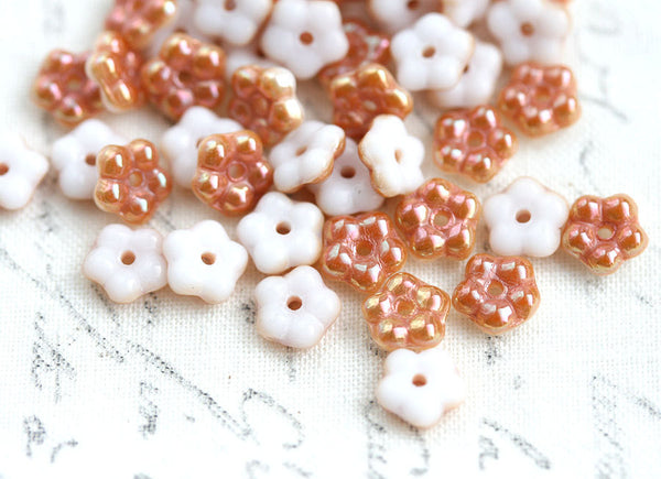 5mm Peach and White daisy flower beads, Rainbow luster - 50pc