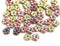 5mm Daisy flower beads MIX, Metallic Golden, Pink Gold, czech glass - 50pc