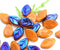 12x7mm Orange Leaf beads, Dark Blue Luster Orange Blue Czech glass - 25Pc