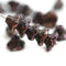 7x5mm Iris Brown Flower Cups, Czech glass beads - 25Pc
