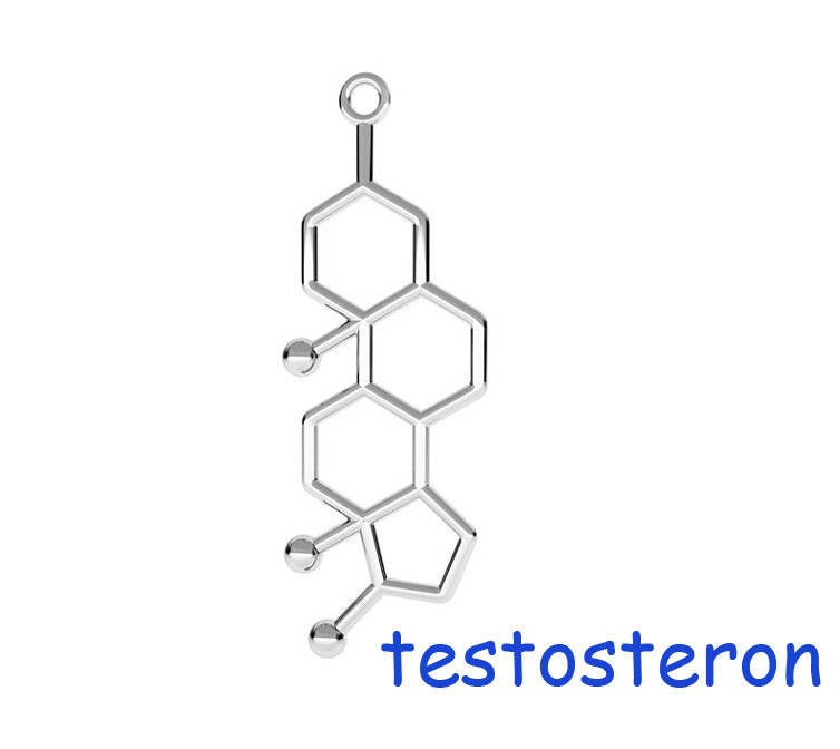 Sterling Silver Testosteron charm, Silver 925, Molecule Male Sex Hormone Chemistry Science jewelry Silver Necklace pendant - 1pc - F597