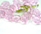 11x8mm Rose Pink barrel beads, czech glass fire polished oval beads - 20Pc