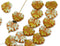 11x13mm Fall colors Maple leaf beads czech glass Green Orange leaf beads - 10Pc