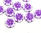 12mm White Pansy flower Czech glass beads Purple inlays - 10pc