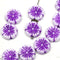 12mm White Pansy flower Czech glass beads Purple inlays - 10pc