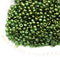 11/0 Toho seed beads, Gold Lustered Fern N 333 - 10gr