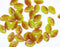 12x7mm Yellow orange leaf beads, Czech glass pressed - 50pc